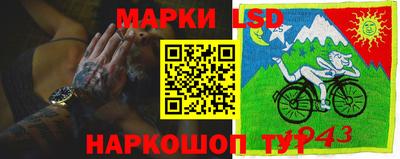 спайс Кандалакша