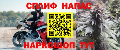 сатива Канаш
