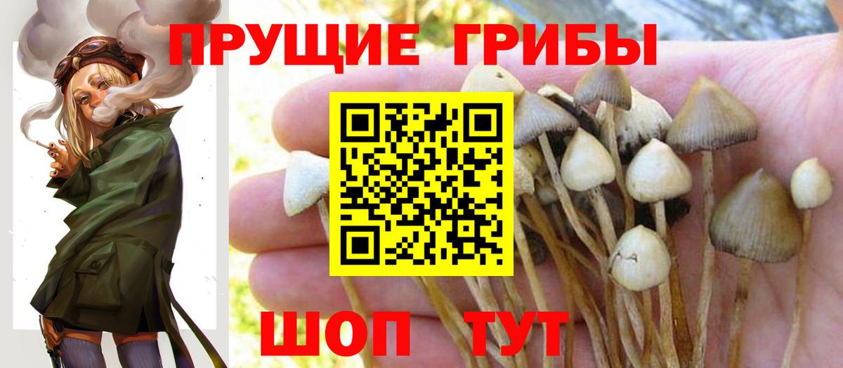 Галлюциногенные грибы Magic Shrooms Ульяновск