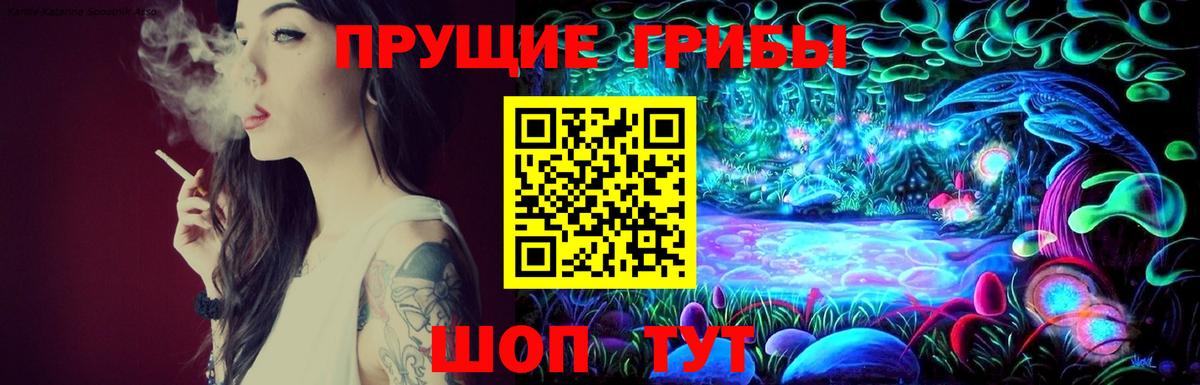 Псилоцибиновые грибы Magic Shrooms  Вход с VPN  Ульяновск  что такое наркотик  Галлюциногенные грибы Psilocybe 